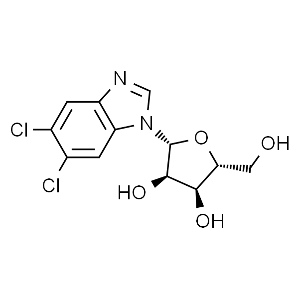 5，6-Dichloropurine-1-β-D-ribofuanosyl-H-benzimidazole
