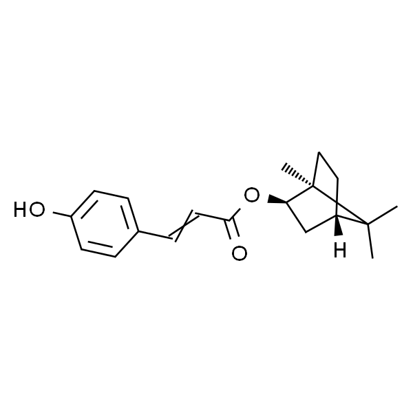Biondinin C