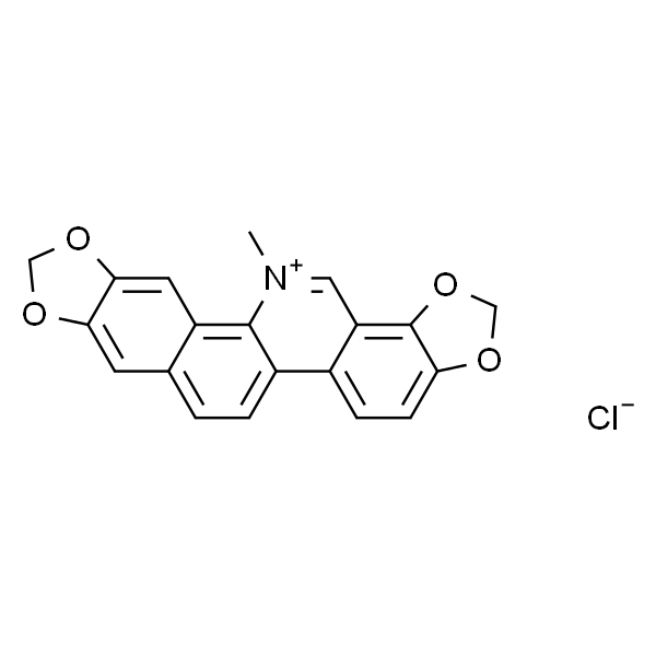 Sanguinarine (chloride)