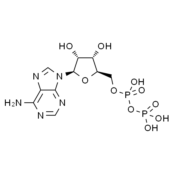 adenosine 5'-(trihydrogen diphosphate)