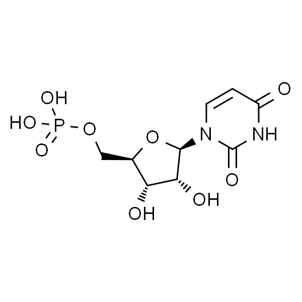 Uridine-5'-phosphate/UMP