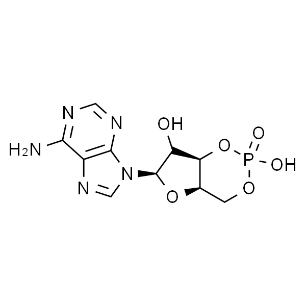 Adenosine 3',5'-cyclophosphate/cAMP