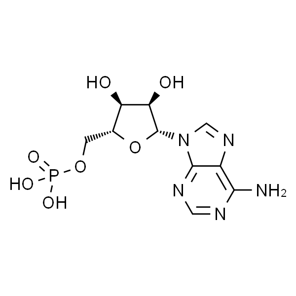 Adenosine 5'-monophosphate/AMP