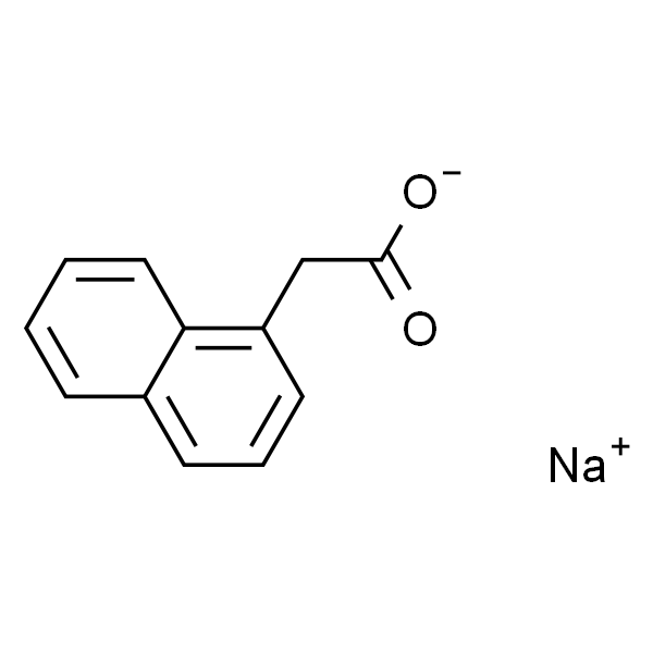 1-Naphthaleneacetic Acid Sodium Salt
