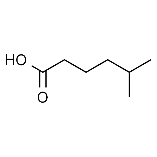 5-Methylhexanoic Acid