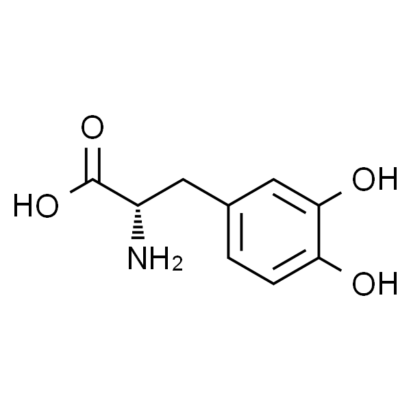3，4-Dihydroxy-DL-phenylalanine