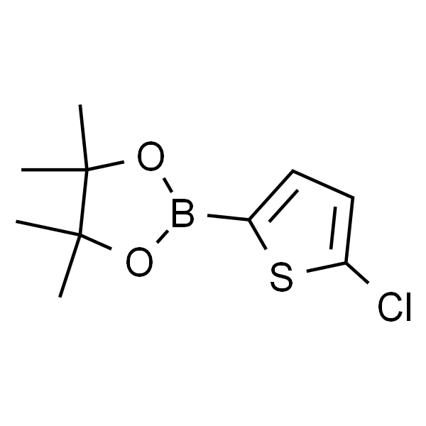 2-(5-Chlorothiophen-2-yl)-4，4，5，5-tetramethyl-1，3，2-dioxaborolane