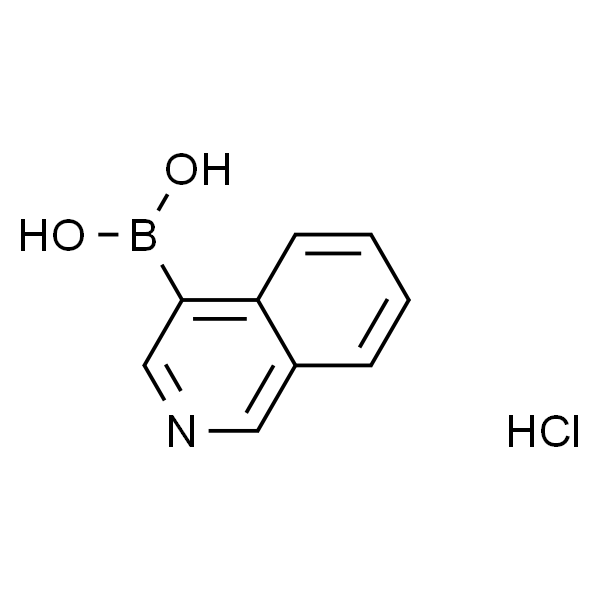 4-Isoquinolineboronic acid hydrochloride