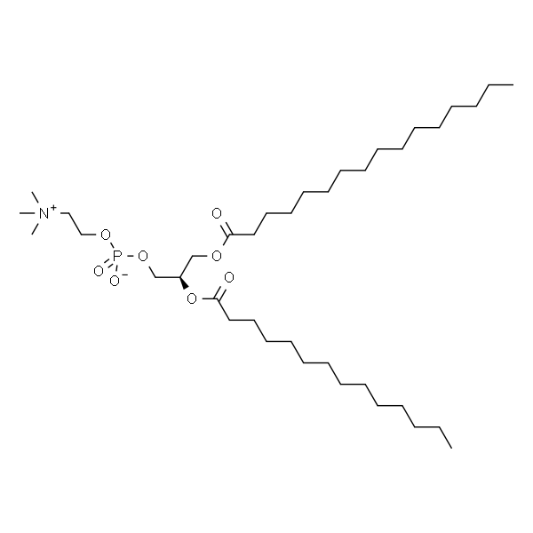 1-palmitoyl-2-myristoyl-sn-glycero-3-phosphocholine