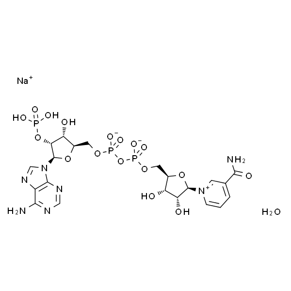 Triphosphopyridine nucleotide sodium salt hydrate