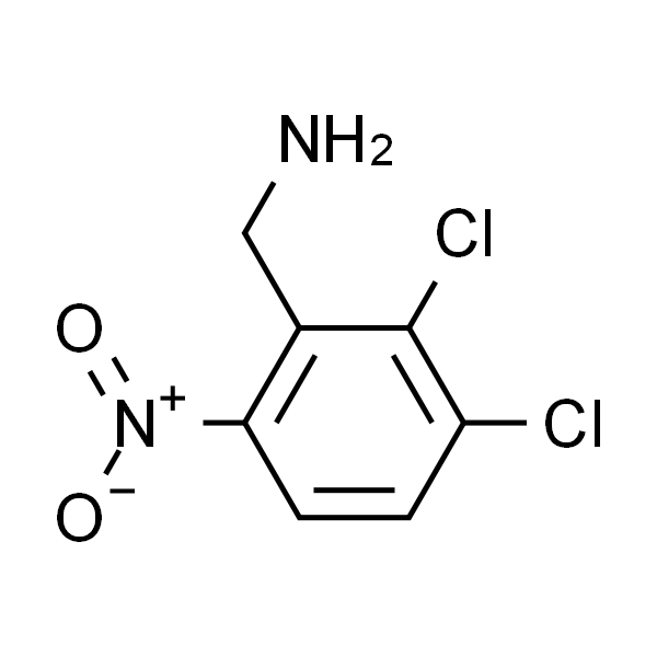 2,3-DICHLORO-6-NITROBENZYLAMINE