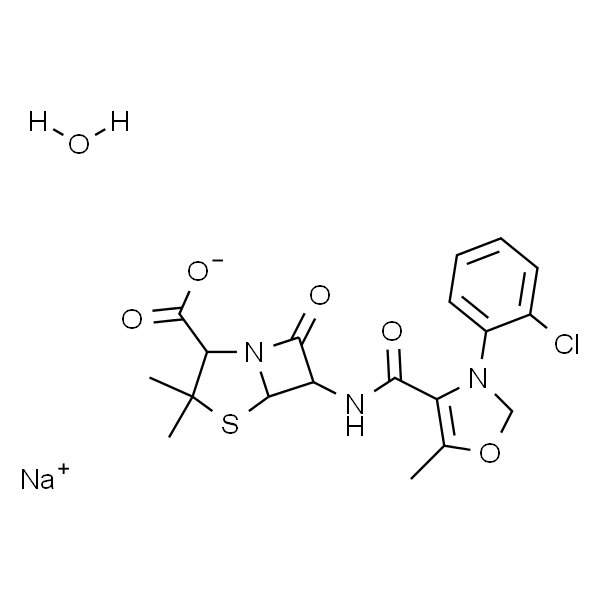 Cloxacillin (sodium monohydrate)