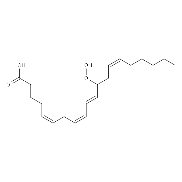 12-hydroperoxy-5(Z),8(Z),10(E),14(Z)-eicosatetraenoic acid