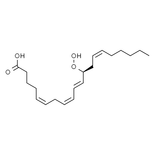 12(S)-hydroperoxy-5(Z),8(Z),10(E),14(Z)-eicosatetraenoic acid