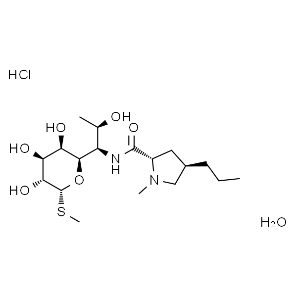 Lincomycin Hydrochloride Monohydrate