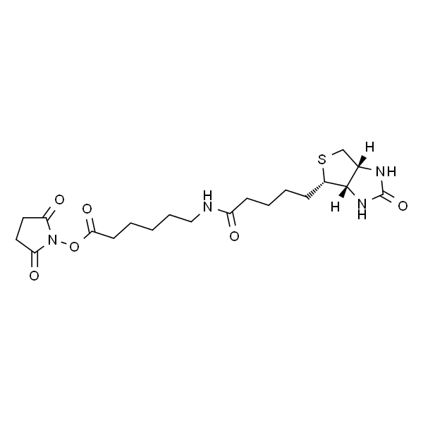 N-Succinimidyl 6-Biotinamidohexanoate