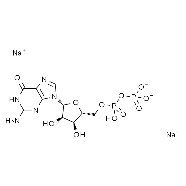 Guanosine5-Diphosphate (GDP)