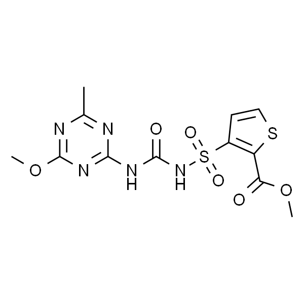 Thifensulfuron-methyl solution