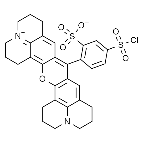 Sulforhodamine 101 sulfonyl chloride