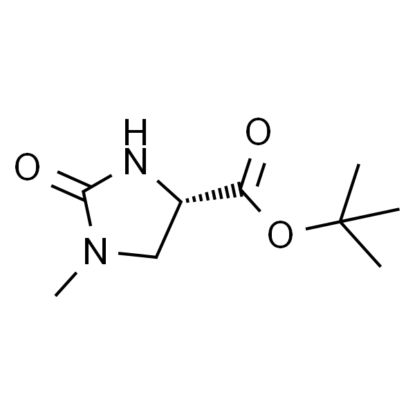 (S)-tert-Butyl 1-methyl-2-oxoimidazolidine-4-carboxylate
