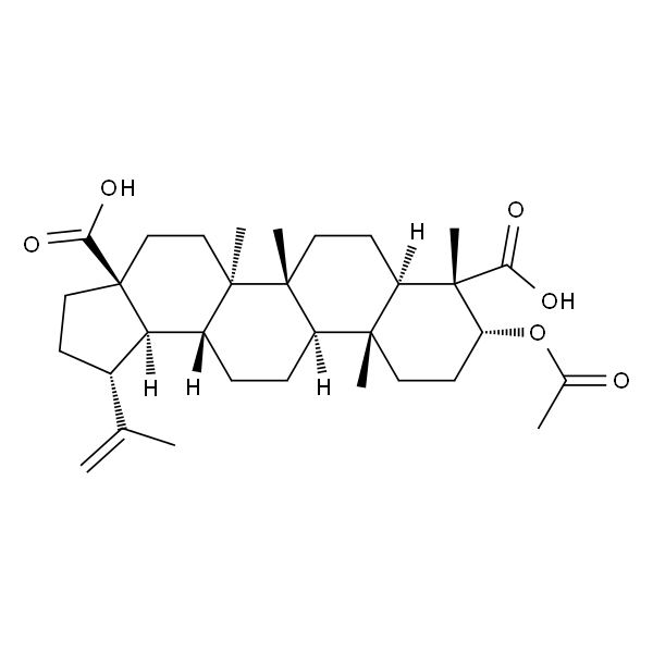 3α-Acetoxy-20(29)-lupene-23,28-dioic acid