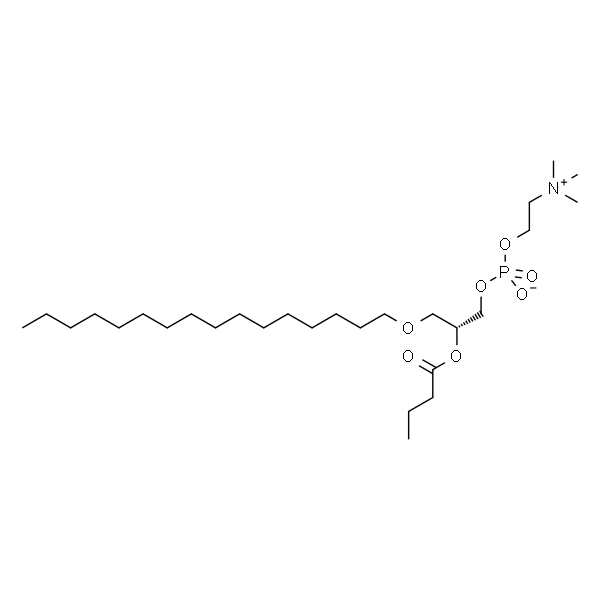 1-O-hexadecyl-2-butyryl-sn-glycero-3-phosphocholine