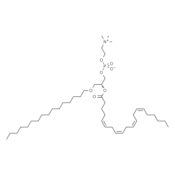 1-O-hexadecyl-2-arachidonoyl-sn-glycero-3-phosphocholine