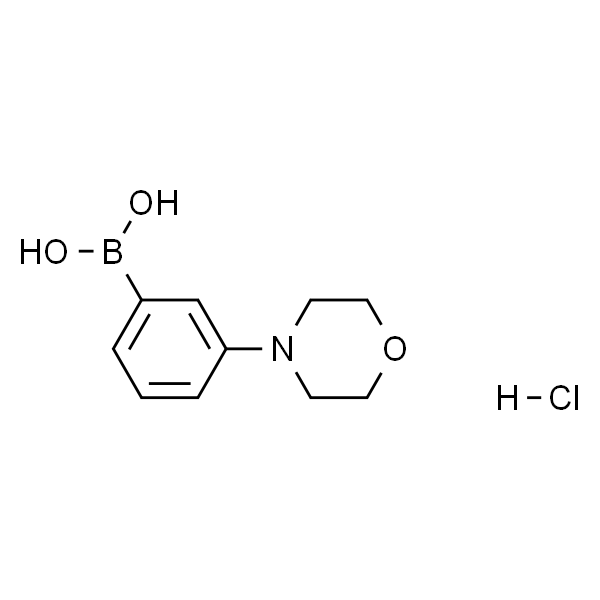 (3-Morpholinophenyl)boronic acid hydrochloride