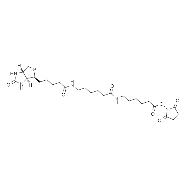 Biotinamidohexanoyl-6-aminohexanoic acid N-hydroxysuccinimide ester
