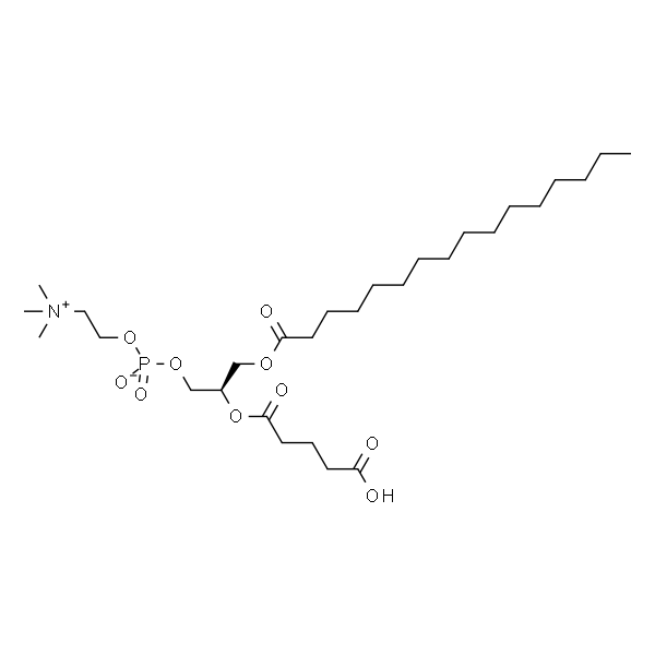 1-palmitoyl-2-glutaryl-sn-glycero-3-phosphocholine