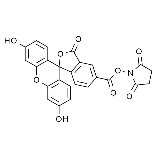 5-Carboxyfluorescein N-succinimidyl ester