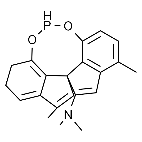 (11aR)-10，11，12，13-Tetrahydro-N，N，3，7-tetramethyl-diindeno[7，1-de:1'，7'-fg][1，3，2]dioxaphosphocin-5-amine