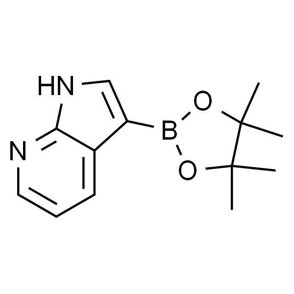 7-Azaindole-3-boronic Acid Pinacol Ester