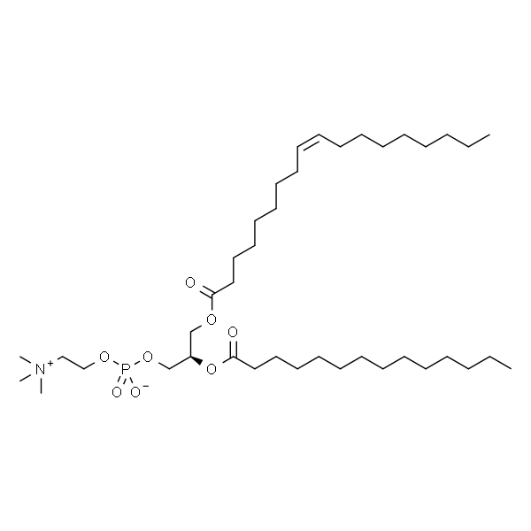 1-oleoyl-2-myristoyl-sn-glycero-3-phosphocholine