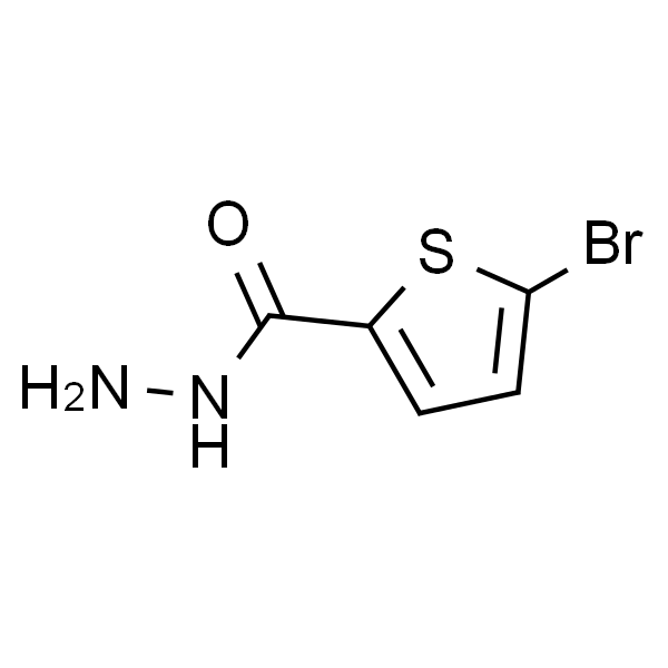 5-Bromothiophene-2-carboxylic acid hydrazide, 98%