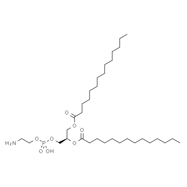 1,2-dimyristoyl-sn-glycero-3-phosphoethanolamine