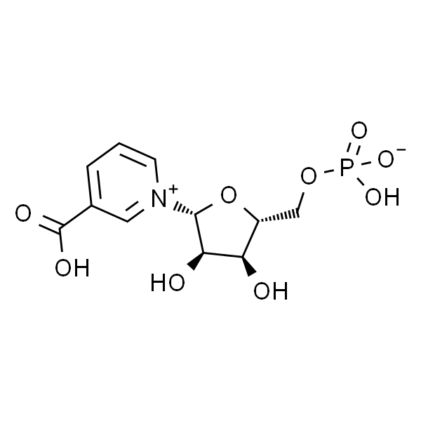 3-Carboxy-1-(5-O-phosphono-β-D-ribofuranosyl)pyridinium