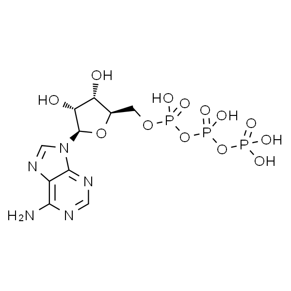 Adenosine triphosphate/ATP