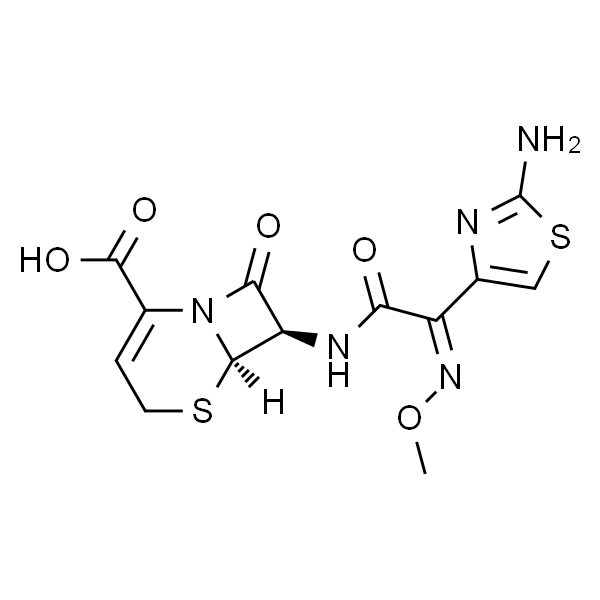 Ceftizoxime