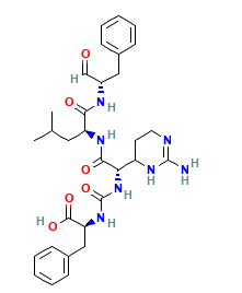 Chymostatin