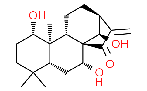 Kamebanin