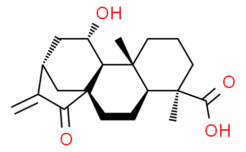 ent-11α-Hydroxy-15-oxokaur-16-en-19-oic acid
