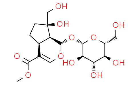Splendoside