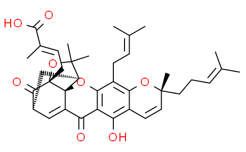 Isogambogic acid