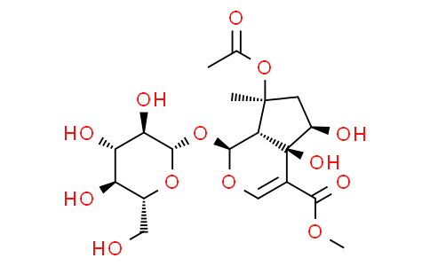 Phlorigidoside B