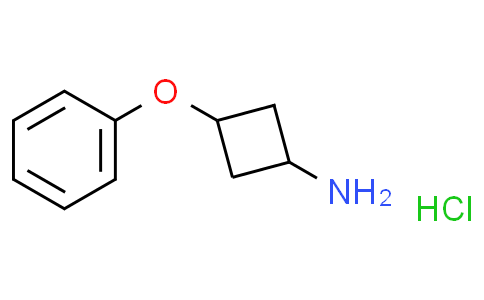 1955473-81-0