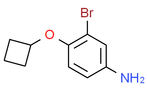 1247716-37-5