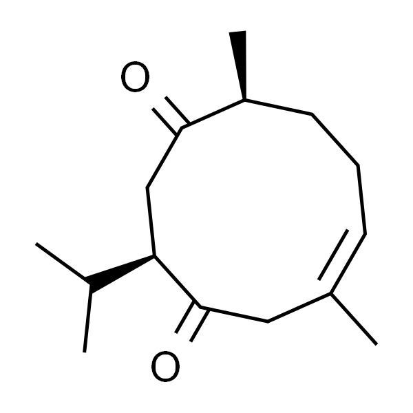 Neocurdione