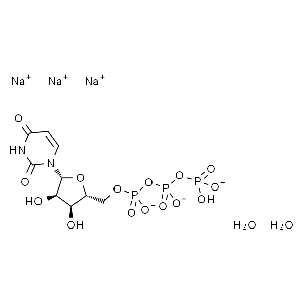 Uridine-5'-Triphosphate，trisodium salt