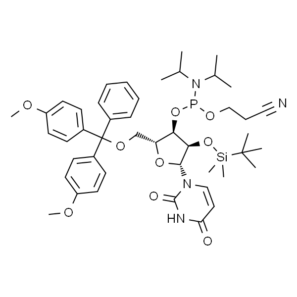 rUPhosphoramidite